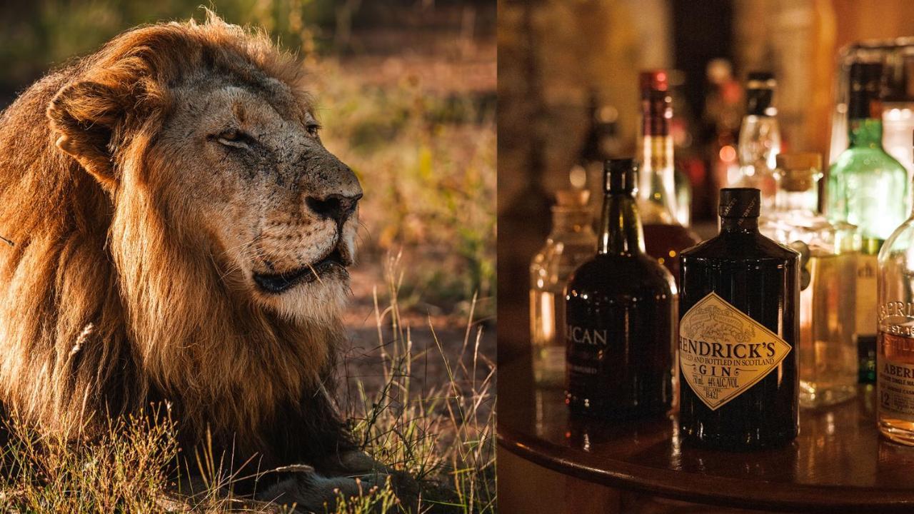 Geiger'S Camp In Timbavati Game Reserve By Newmark Экстерьер фото