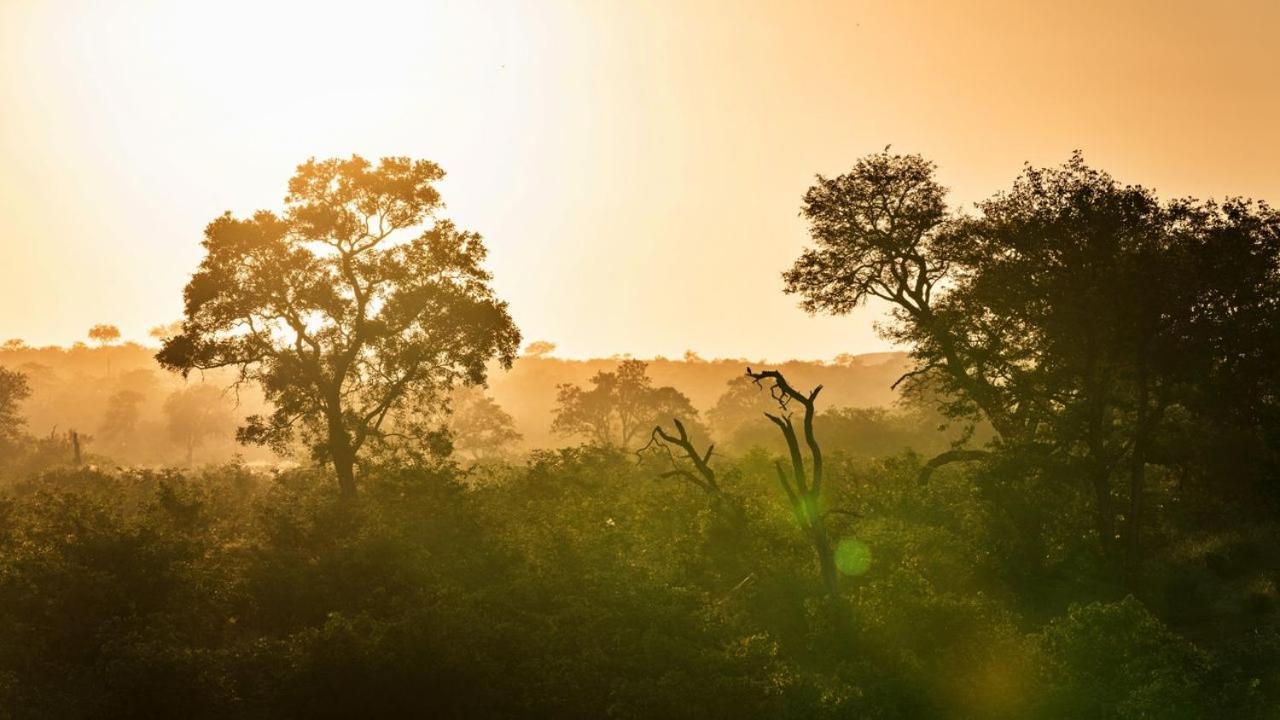 Geiger'S Camp In Timbavati Game Reserve By Newmark Экстерьер фото